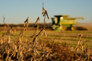 Careful Driving During Harvest Season Recommended!