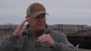 Nebraska feedyard operator considers pausing cattle purchases amid rising losses