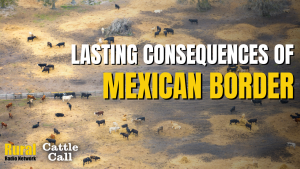 Cattle Call: Long closure of Mexican cattle imports could have lasting consequences for beef supply