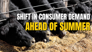 Cattle Call: Choice-select inversion raises demand concerns ahead of grilling season