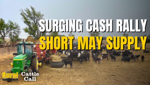 Cattle Call: Surging cash rally points to short May supply