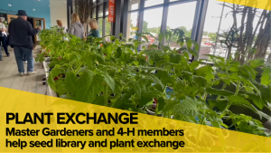 From Books to Beans: Library Seed Exchange Helps Gardeners Take Root