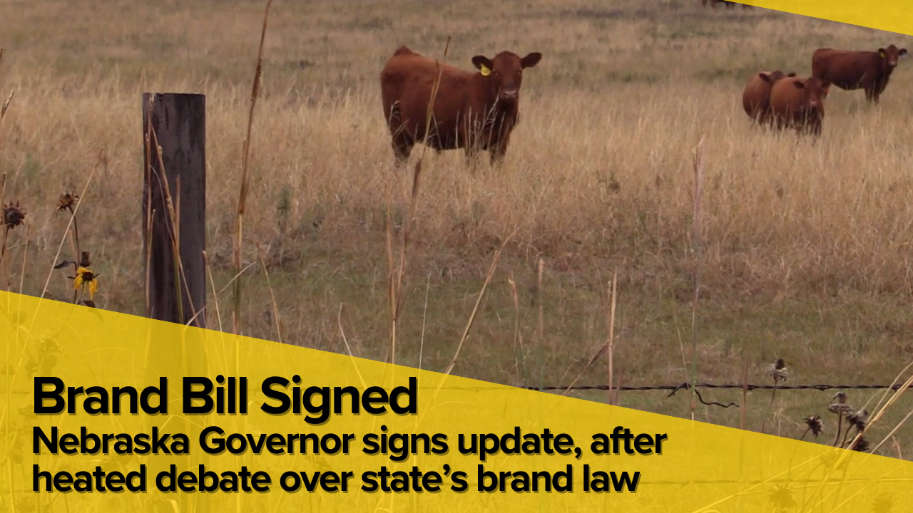 Nebraska brand bill update signed into law after contentious legislative debate