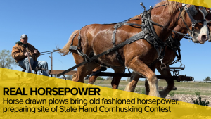 ‘Awesome horsepower’ prepares soil for Nebraska Hand Cornhusking Contest