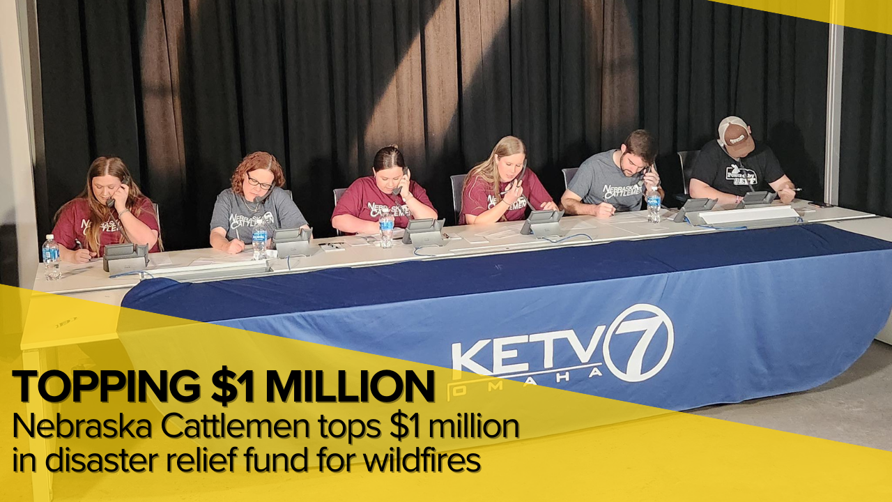 Nebraska Cattlemen tops $1M in disaster relief fund for wildfires
