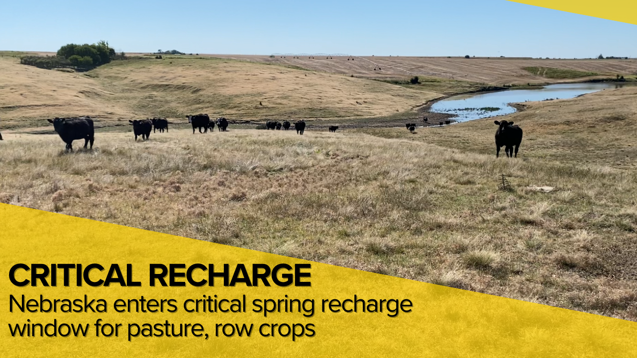 Nebraska enters critical spring recharge window for pasture, row crops
