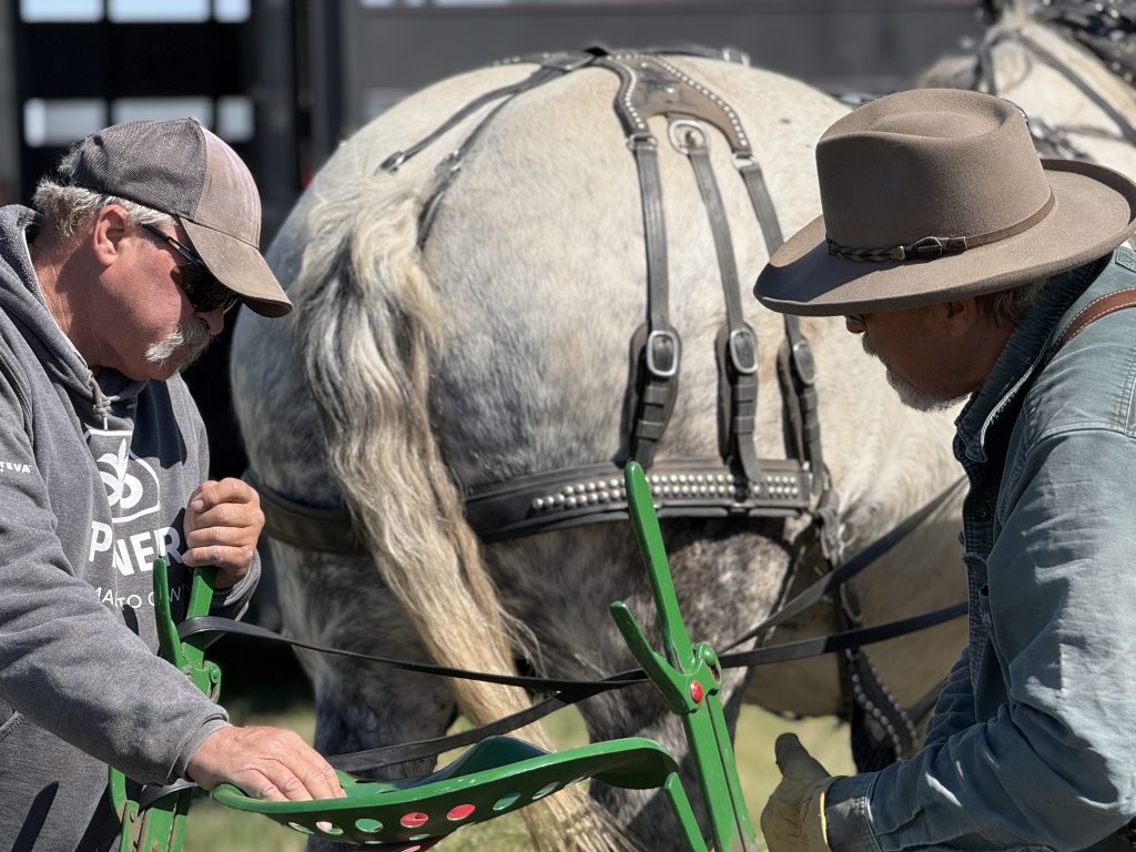 Leading a pair of horses, twin brothers Don and Dan Carter love working with horses