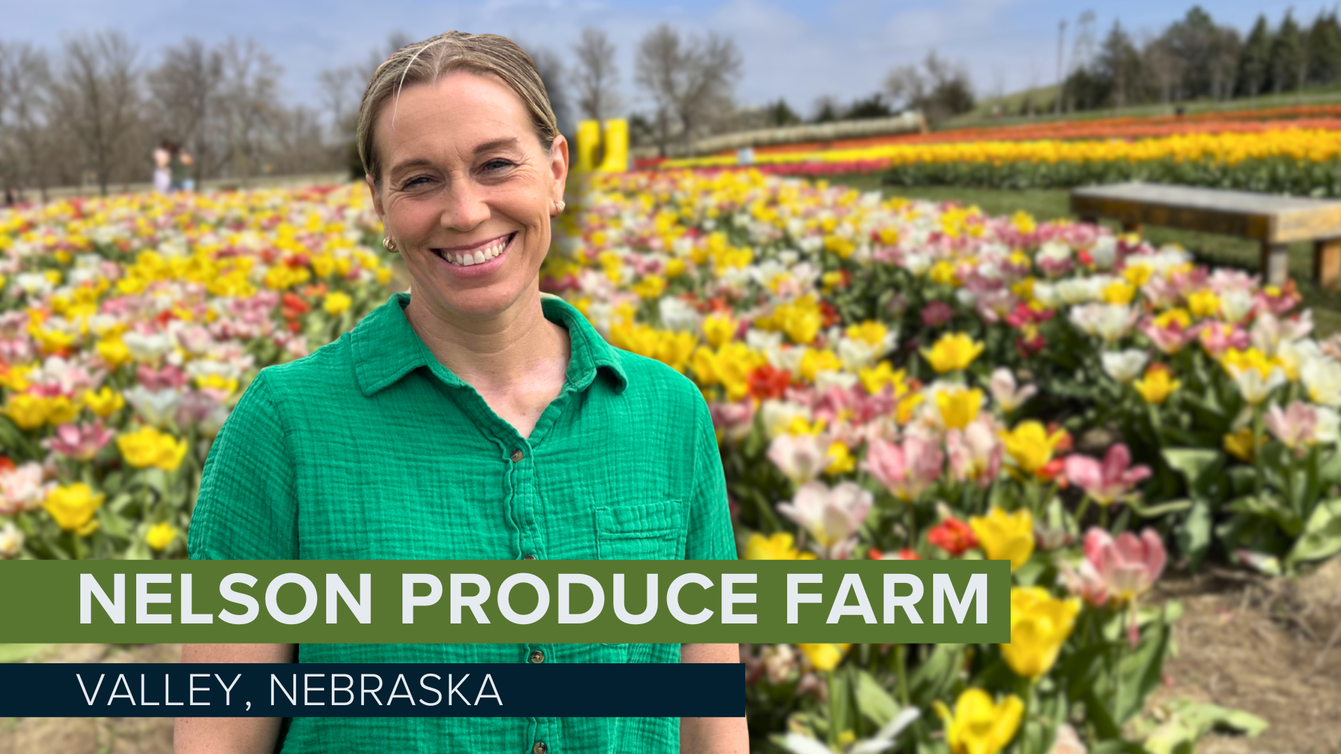 Tulip Festival: Blooms draw crowds, but connection to agriculture drives growth