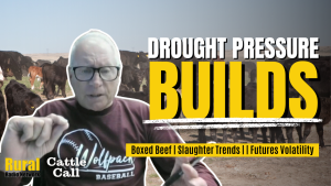 Cattle Call: Drought begins to shape feeder cattle movement across Plains