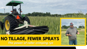 Why more farmers are roller crimping rye | Aaron Nygren