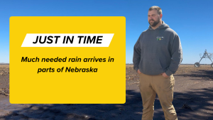 Rain brings relief as planting progresses in western Hall County
