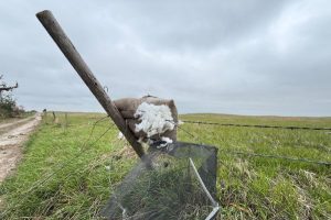 Tornadoes Leave Heavy Damage Across Howard County