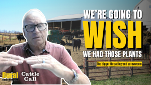 ‘We’re going to wish we had those plants’: Analyst sounds alarm on beef industry capacity