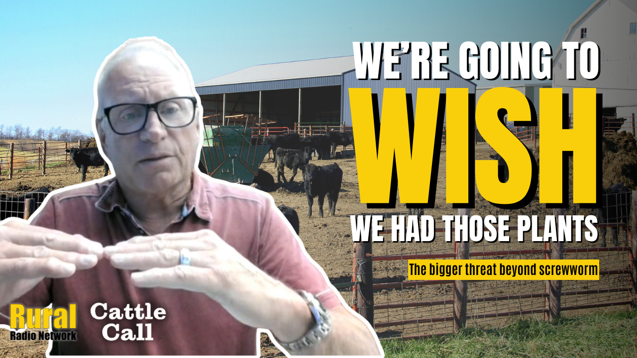 ‘We’re going to wish we had those plants’: Analyst sounds alarm on beef industry capacity
