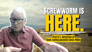 UPDATE: Suspected screwworm infestation in Texas confirmed by USDA lab