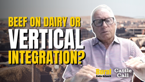 Beef-on-dairy boom opens door to vertical integration, analyst warns
