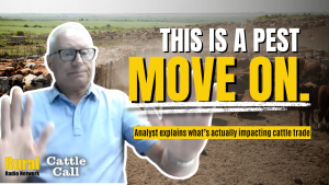 ‘This is a pest… move on’: Producers look past screwworm to tight cash market