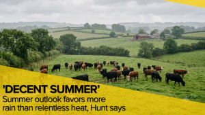 Summer outlook favors more rain than relentless heat, Hunt says