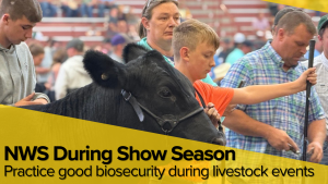 Show Season Travel Brings Added Biosecurity Focus for Nebraska Livestock Exhibitors