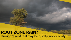 Drought’s next test may be rainfall quality, not quantity