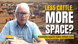 Despite fewer cattle, U.S. has more shackle space than in 2021, analyst says