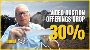 Video auction offerings drop nearly 30% from year ago as producers hold back sales, analyst says
