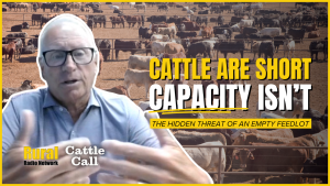 These feedlots struggle with empty pens as cattle cycle, Mexican imports reshape feeding landscape