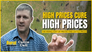 “You don’t want to give it all back”: Rising LRP costs leave more cattle producers exposed