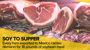 Every ham exported to Mexico carries demand for 18 pounds of soybean meal, USMEF says
