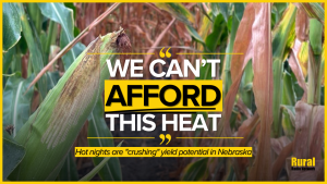 Hot nights are “crushing” yield potential in Nebraska, expert says