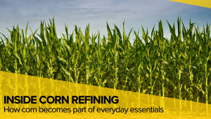 Corn Refining Turns Nearly Every Part of the Kernel Into Valuable Products