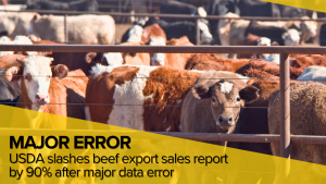 USDA slashes beef export sales report by 90% after major data error