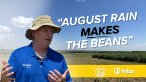 It’s decision time as growers begin critical herbicide and fungicide applications