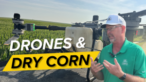 Nebraska corn enters grain fill as drone spraying ramps up