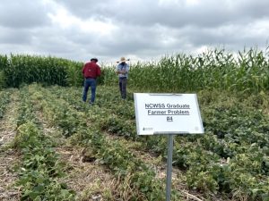 Student Weed Contest Gives Future Agronomists Hands-On Experience in Gothenburg 