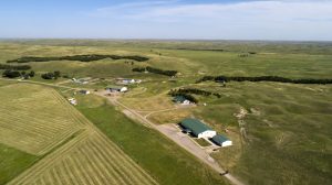 Gundmundsen Sandhills Lab provides cattle industry updates during open house