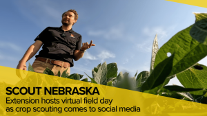 Can’t attend field day? Scout Nebraska brings crop updates to you