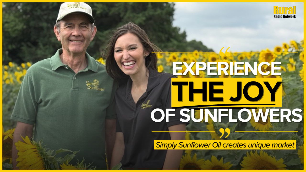 Sunflower Power: Nebraska farm turns sunny blooms into a bright business