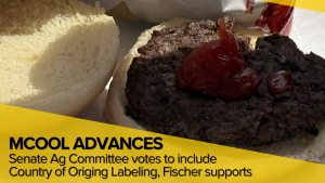Senate vote may clear the way for country of origin labeling on U.S. beef