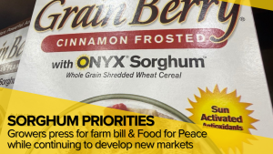 Sorghum Growers Look Beyond Feed Markets to Food, Fuel and Global Hunger Relief