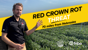 Soybean growers urged to scout fields as red crown rot moves closer to Nebraska