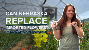 Can Nebraska grow more of America’s flowers? One farm is finding out
