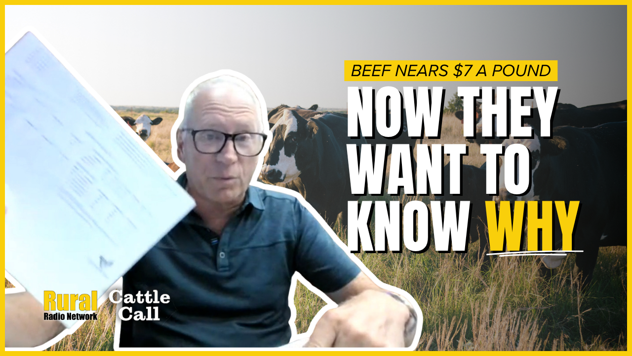 ‘It’s Very Complex’ DOJ Expands Beef Price Probe to Walmart, Amazon, Major Retai...