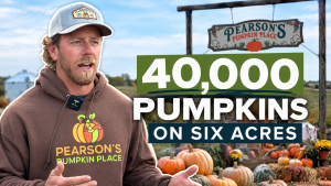 Six acres, 43 varieties and 40,000 pumpkins at this Nebraska farm