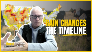 Rain in wheat country could push fed cattle marketings into summer 2027, analyst says