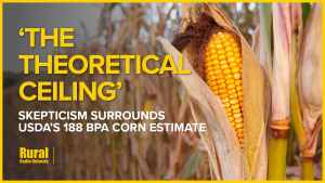 The theoretical ceiling’: Nebraska climatologist skeptical of USDA’s 188 bpa corn estimate