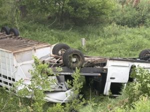 West Point Man Survives Rollover Accident South of Pilger on Sunday