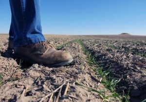 Free Farm and Ranch Legal Clinics Scheduled Across Nebraska