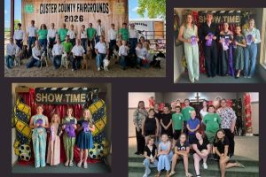 Custer County 4-H members earn top honors ahead of county fair