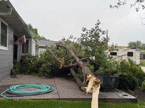 Overnight Storm Causes Power Outages, Closes Arcadia Public Schools